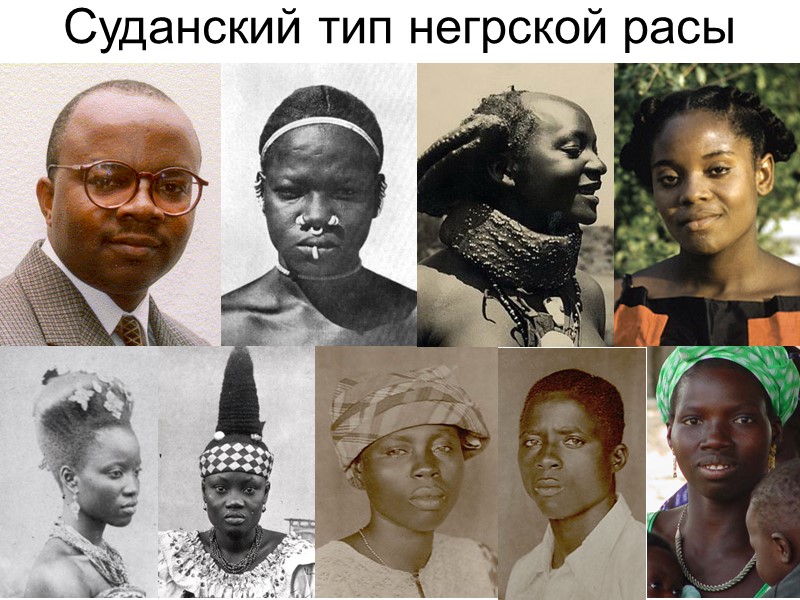 Суданский тип негрской расы